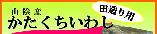 �R�A�Y�@�����������킵