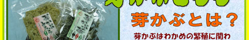 �肩�Ԓ�