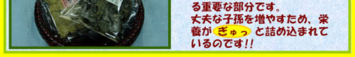 �肩�ԂƂ��