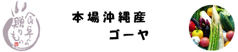 �{�ꉫ��Y�@�S�[��