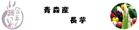 �X�Y�@����