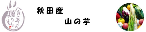 �H�c�Y�@�R�̈�